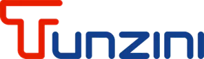 Tunzini